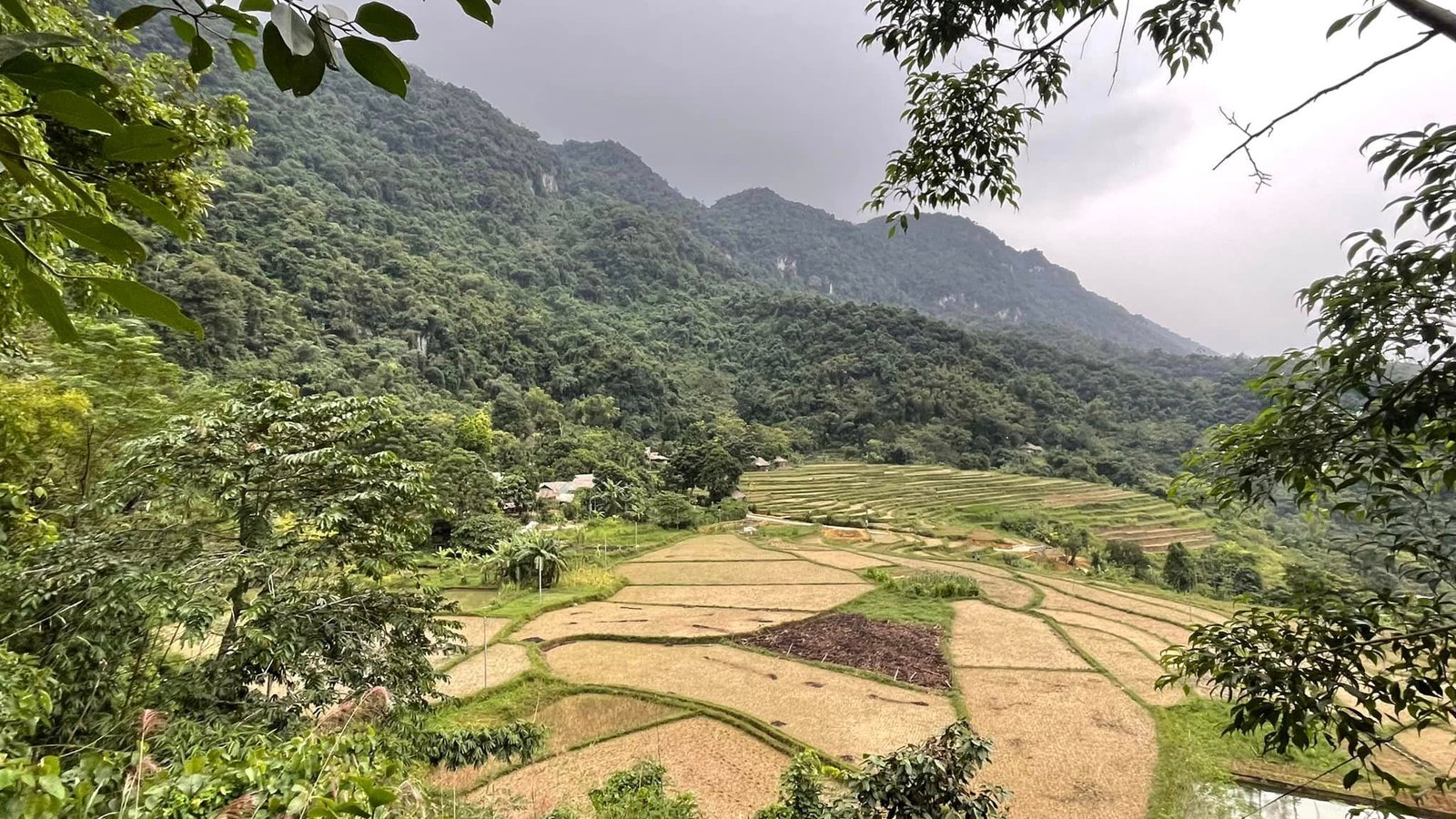 6 Days Trekking In Mai Chau and Pu Luong Nature Reserve